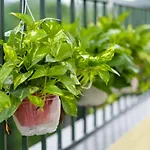 Tu House Hanoi